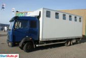 Mercedes-Benz 814 DO PRZEWOZU KONII