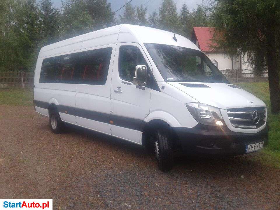 Mercedes-Benz Sprinter 513 BLUTEC AUTOMAT