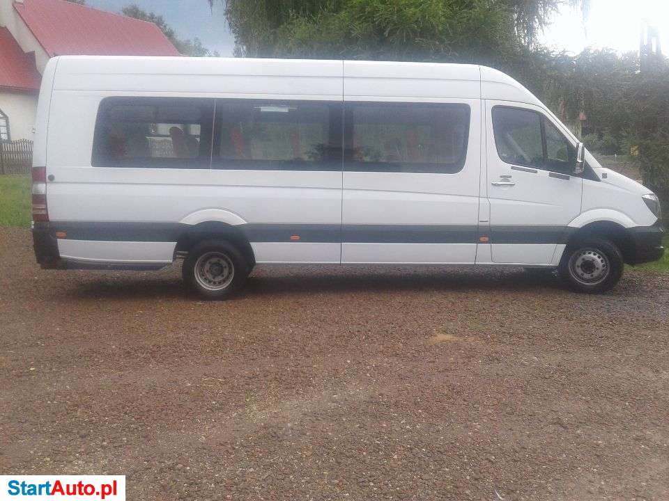 Mercedes-Benz Sprinter 513 BLUTEC AUTOMAT