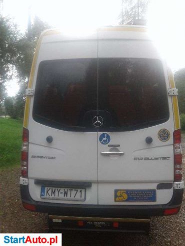 Mercedes-Benz Sprinter 513 BLUTEC AUTOMAT