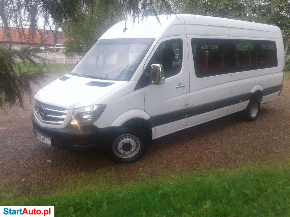 Mercedes-Benz Sprinter 513 BLUTEC AUTOMAT