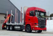Scania Do Drzewa Drewna Lasu Stosu Kłoda Doll