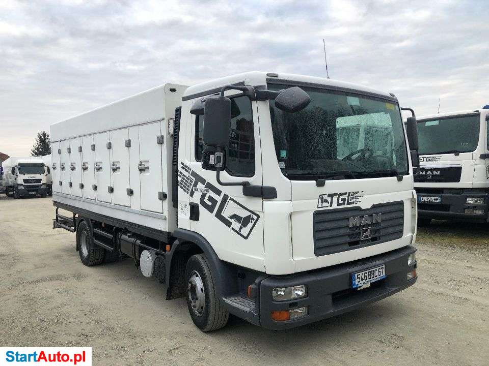 MAN TGL12.210