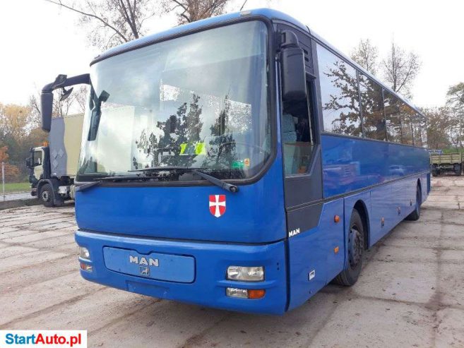MAN UL313