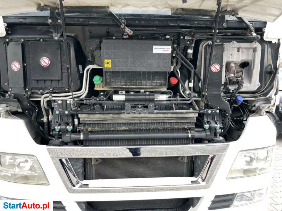 MAN TGX 18.480 / EEV / Euro 5 / Przeb Tylko 493 000km / SPROWADZONY / Standard / Zadbany