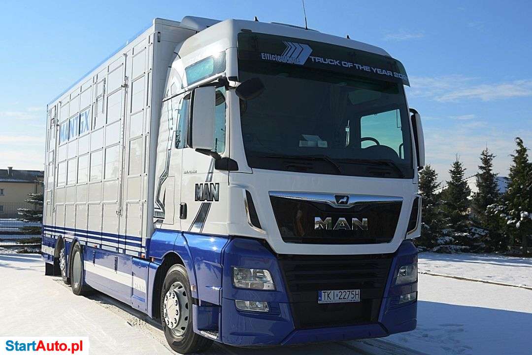 MAN TGX 24.460 * DO PRZEWOZU ZWIERZĄT * NOWA ZABUDOWA!