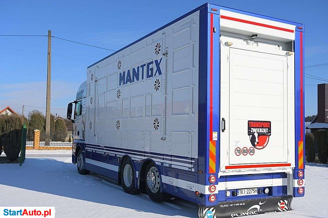MAN TGX 24.460 * DO PRZEWOZU ZWIERZĄT * NOWA ZABUDOWA!