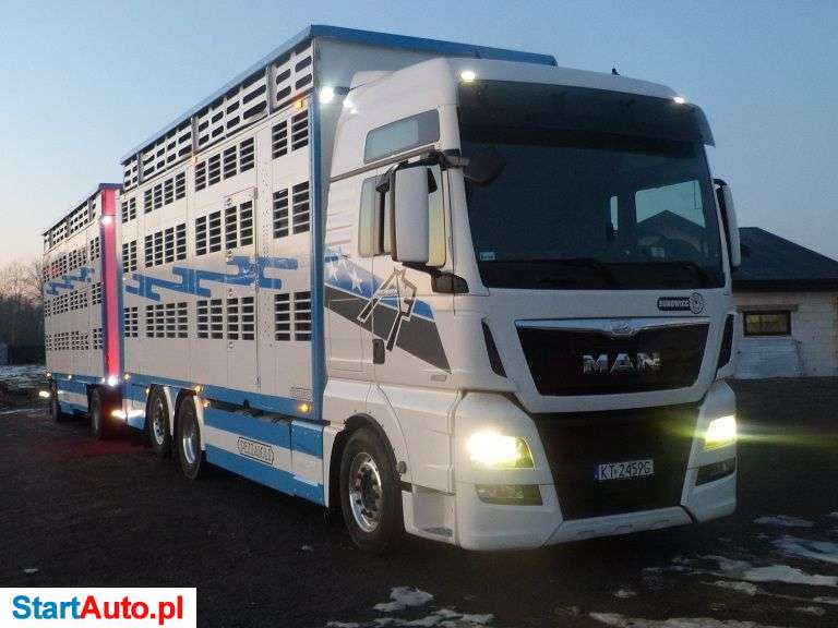 MAN TGX 26.560 ZESTAW PIĘTROWY DO ŻYWCA / ZWIERZĄT / BYDŁA / WAGA /OŚ SKRĘTNA / FULL OPCJA / SUPER STAN