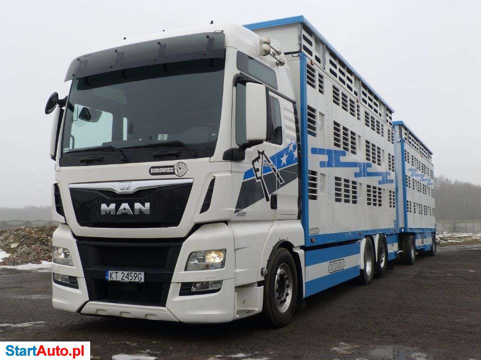 MAN TGX 26.560 ZESTAW PIĘTROWY DO ŻYWCA / ZWIERZĄT / BYDŁA / WAGA /OŚ SKRĘTNA / FULL OPCJA / SUPER STAN