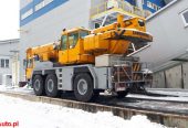 Wynajem, usługi dźwigowe do 80 ton