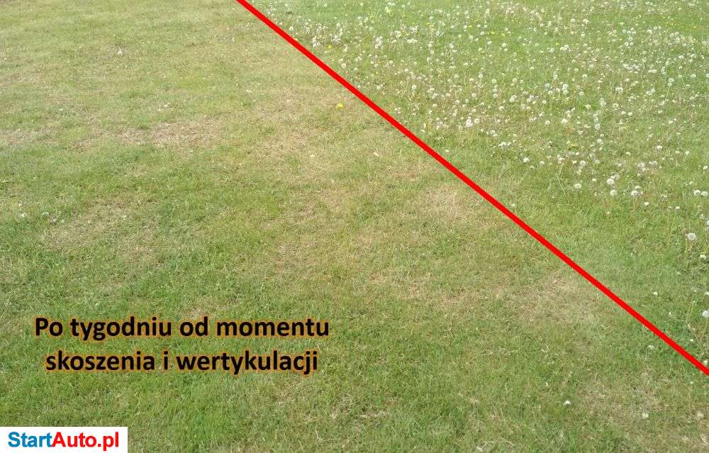 Wynajem glebogryzarki, wynajem wertykulatora, kosa spalinowa!