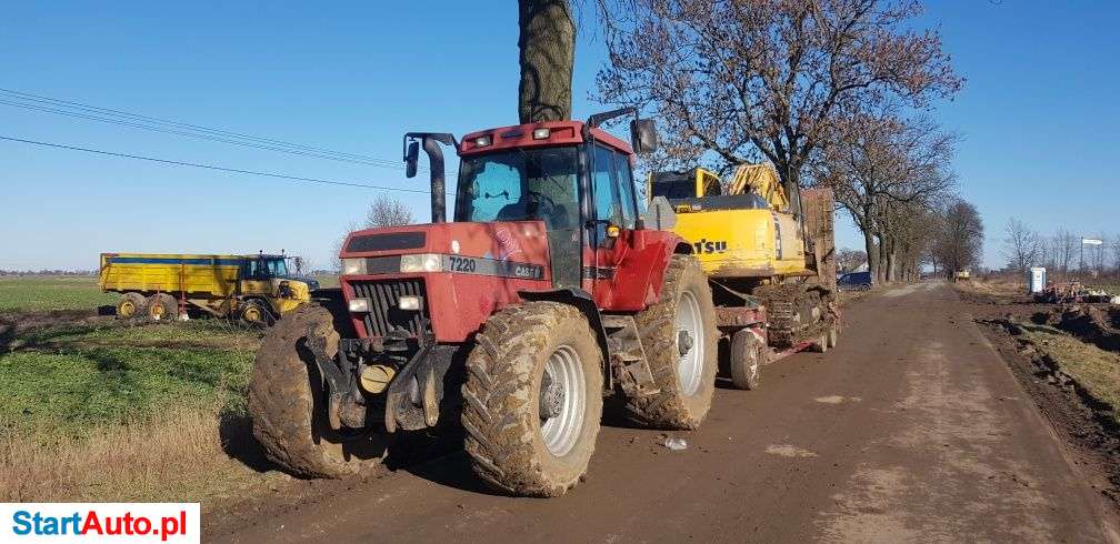 Uslugi wynajem koparka wykopy prace ziemne transport niskopdwoziem.