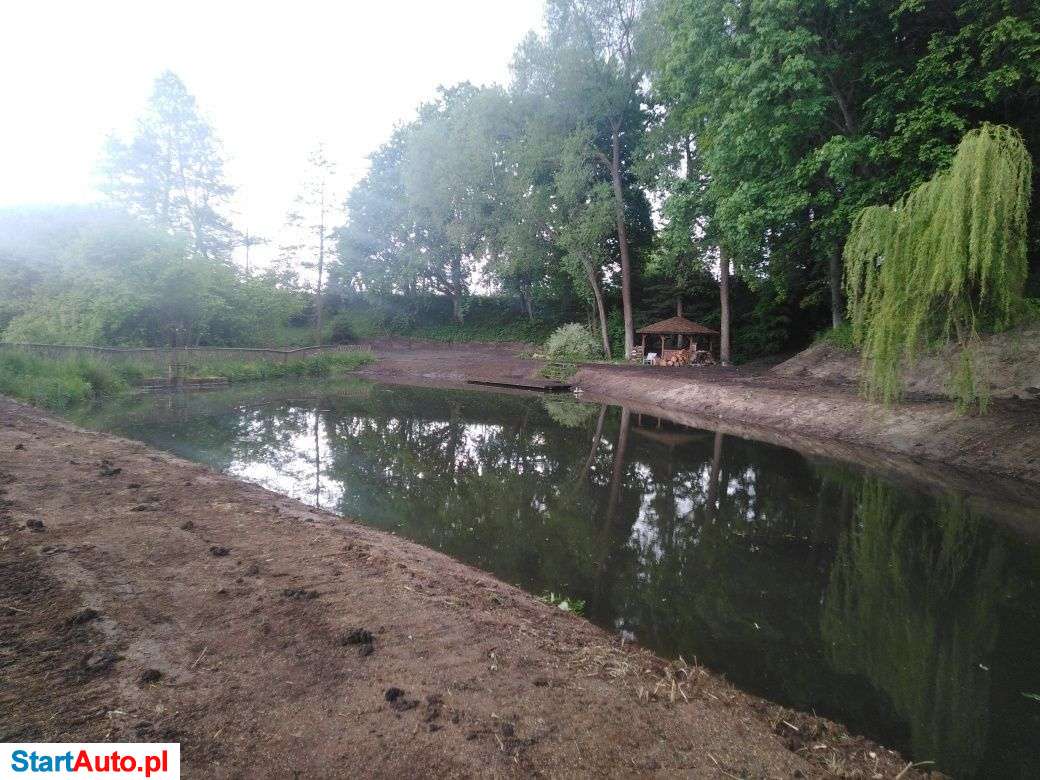 Usługi ziemne, wynajem koparki, stawy, rowy itp