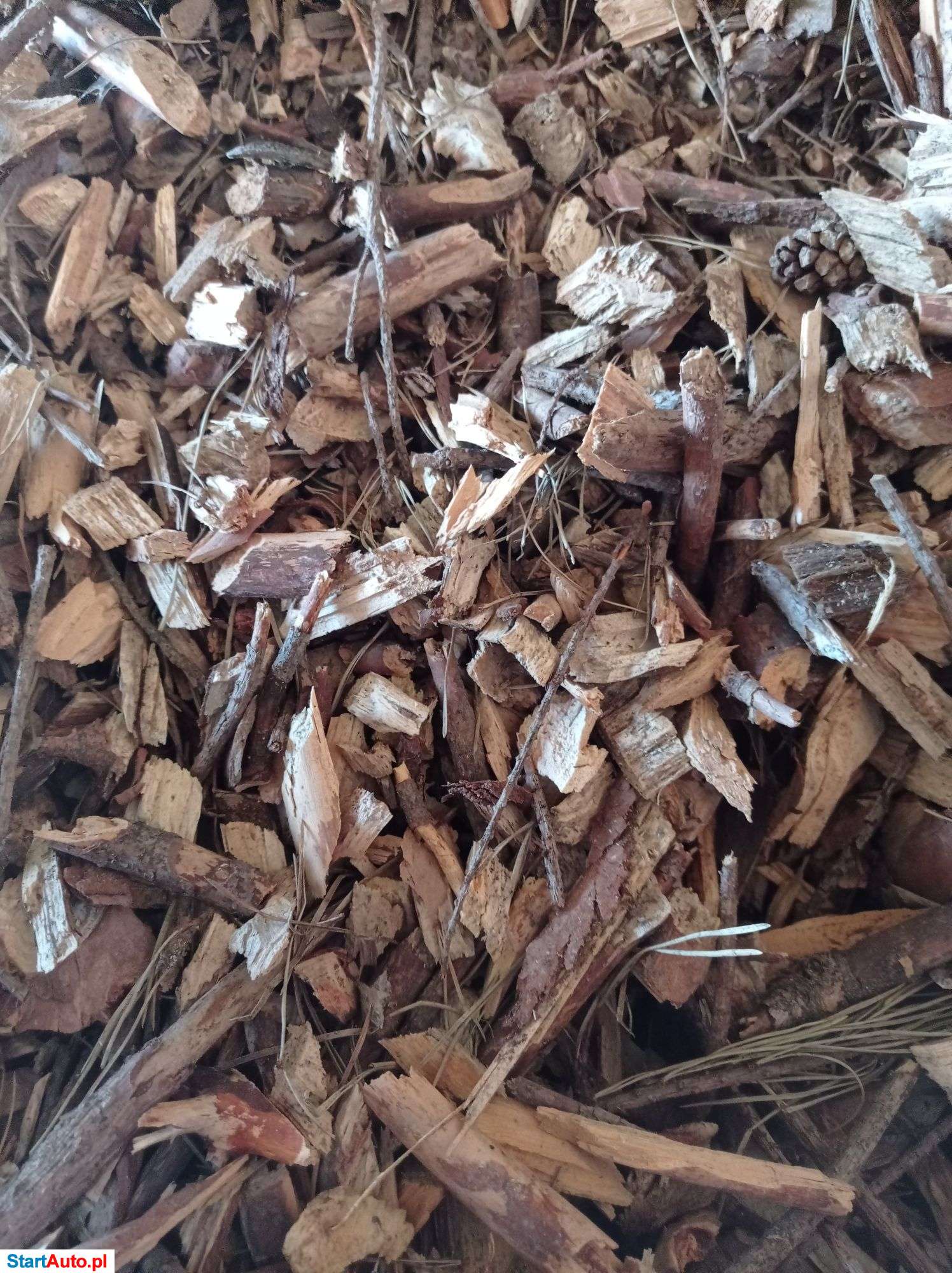 Wynajem, wypożyczenie rębaka do gałęzi bx62