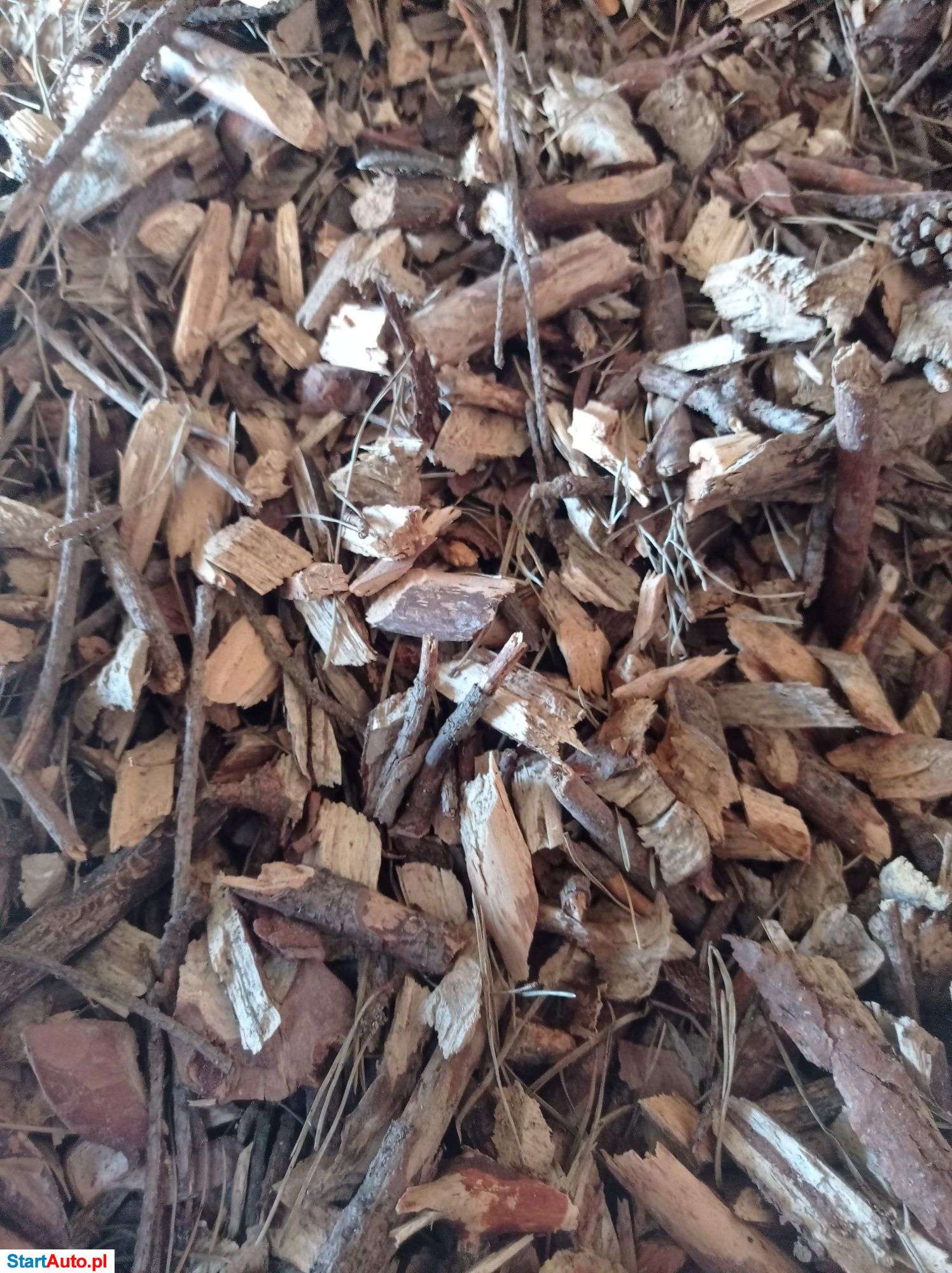 Wynajem, wypożyczenie rębaka do gałęzi bx62