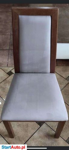 Odkurzacz piorący Karcher puzzi /wynajem/ sląsk/ wypożycze