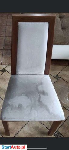 Odkurzacz piorący Karcher puzzi /wynajem/ sląsk/ wypożycze