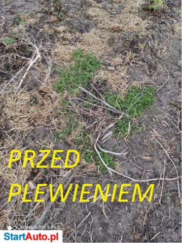 wynajmę pielnik hydrauliczny