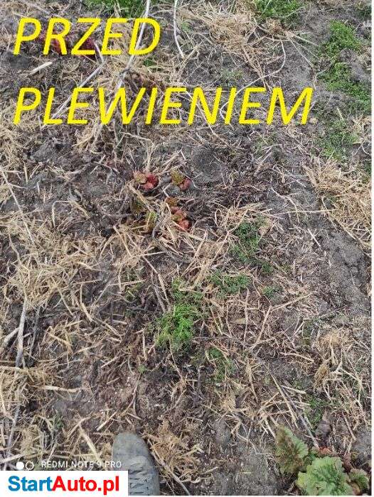 wynajmę pielnik hydrauliczny