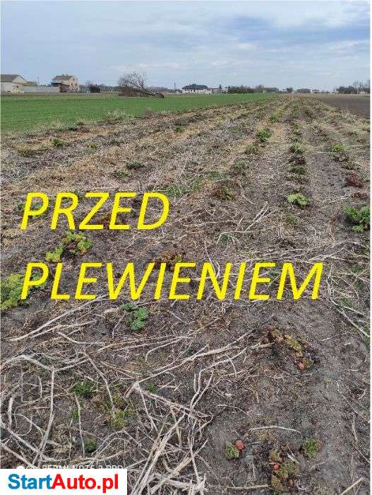 wynajmę pielnik hydrauliczny