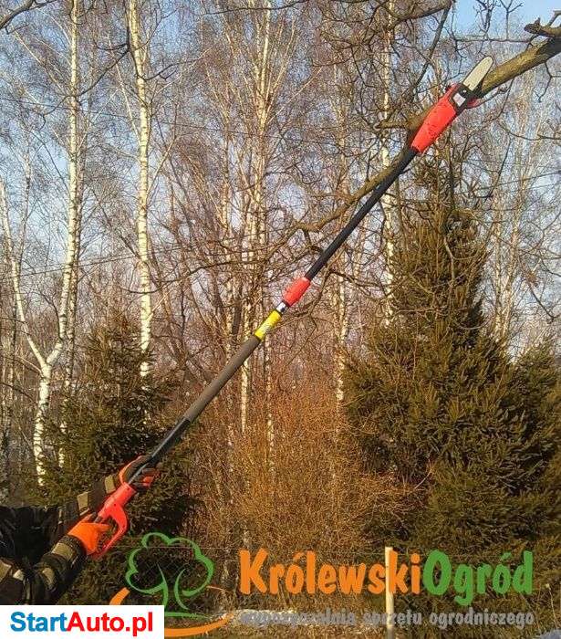 piła piła na wysięgniku podkrzesywarka wynajem wypożyczalnia