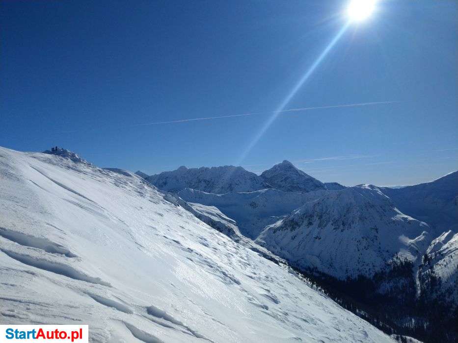 Wynajem długoterminowy ladowarek teleskopowych manitou