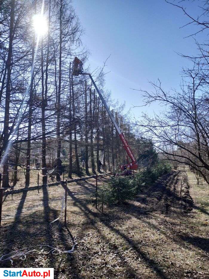 Wycinka drzew, usługi zwyżką, podnośnik koszowy, zwyżka, wynajem.