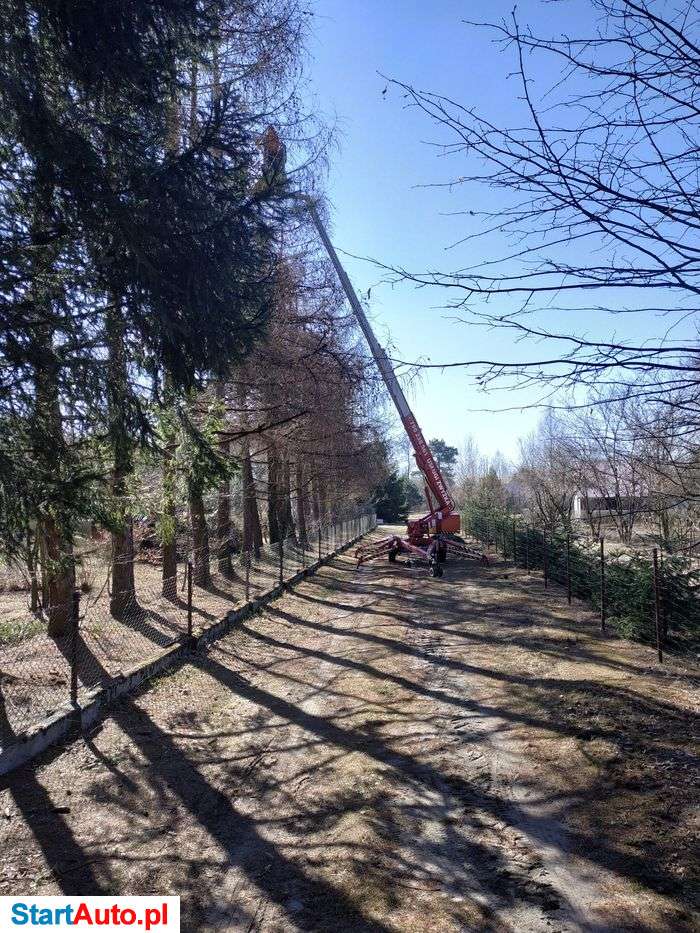 Wycinka drzew, usługi zwyżką, podnośnik koszowy, zwyżka, wynajem.