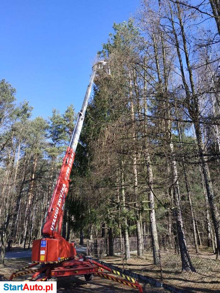 Wycinka drzew, usługi zwyżką, podnośnik koszowy, zwyżka, wynajem.