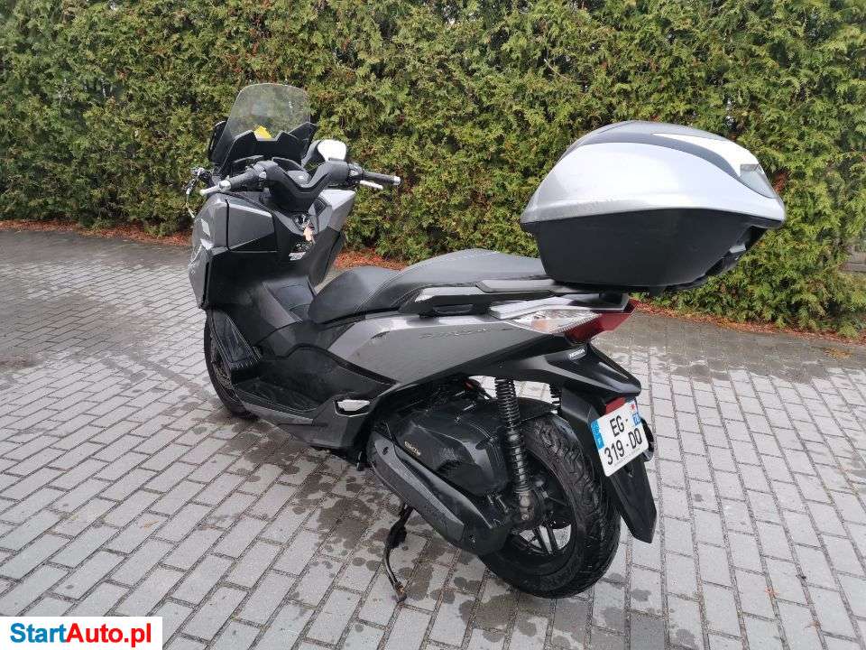 Honda NSS – Gniezno – Wielkopolskie
