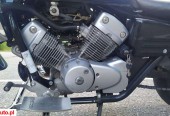 Honda Shadow – Siemianowice Śląskie – Śląskie