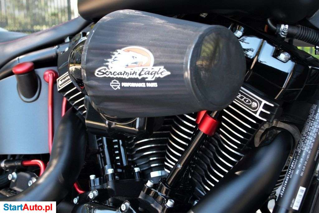 Harley-Davidson Fat Boy – Zapolice – Łódzkie