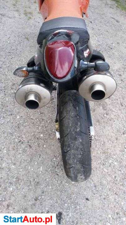 KTM Duke – Duczki – Mazowieckie