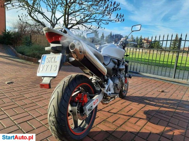 Honda Hornet – Kuleje – Śląskie