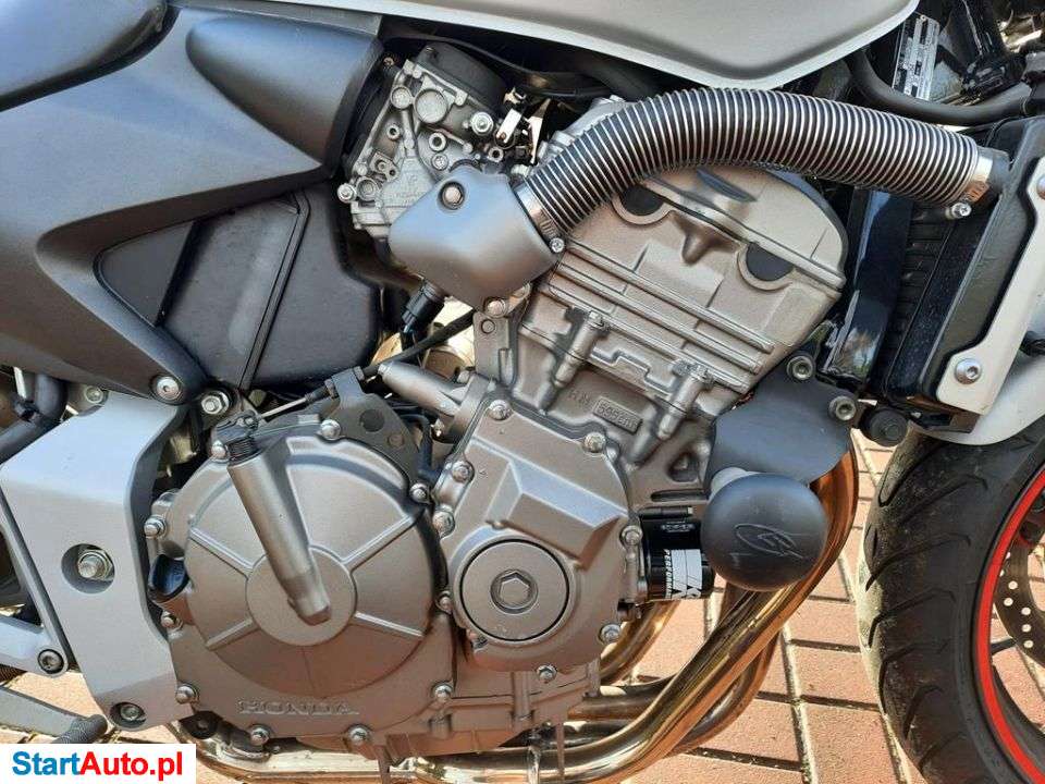 Honda Hornet – Kuleje – Śląskie