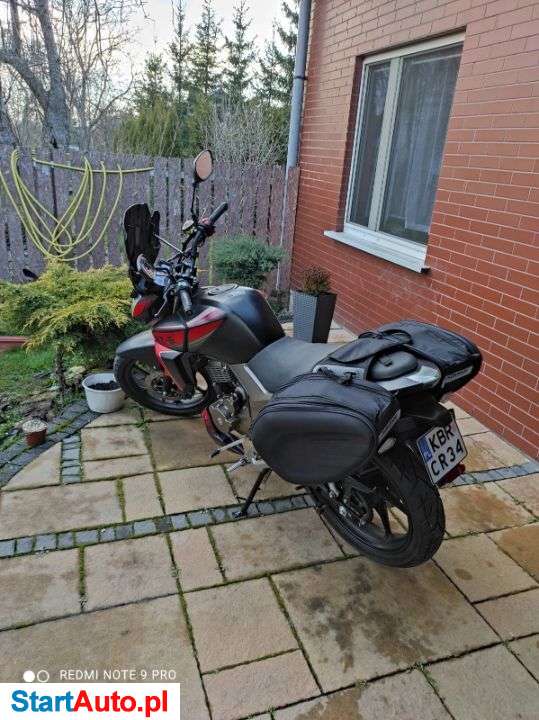 Zipp – Brzesko – Małopolskie