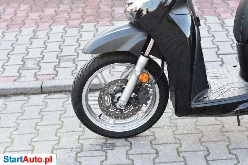 Honda SH – Ścinawa – Dolnośląskie