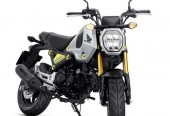 Honda – Poznań – Wielkopolskie