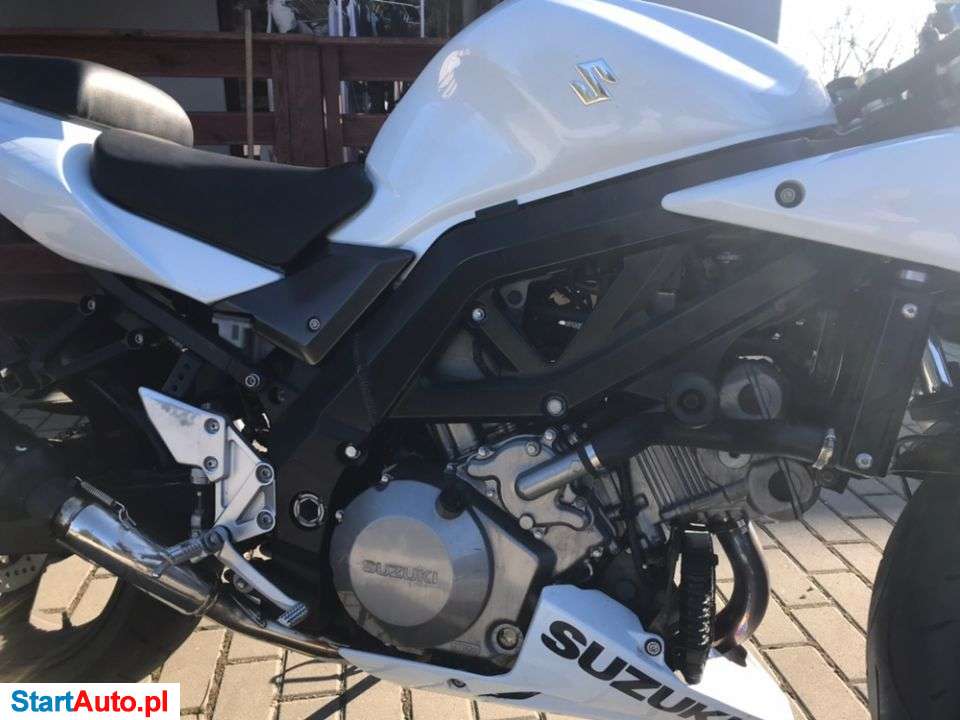 Suzuki SV – Leszno – Wielkopolskie