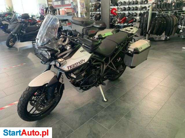 Triumph Tiger – Gostyń – Śląskie