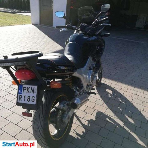 Yamaha TDM – Wilczyn – Wielkopolskie
