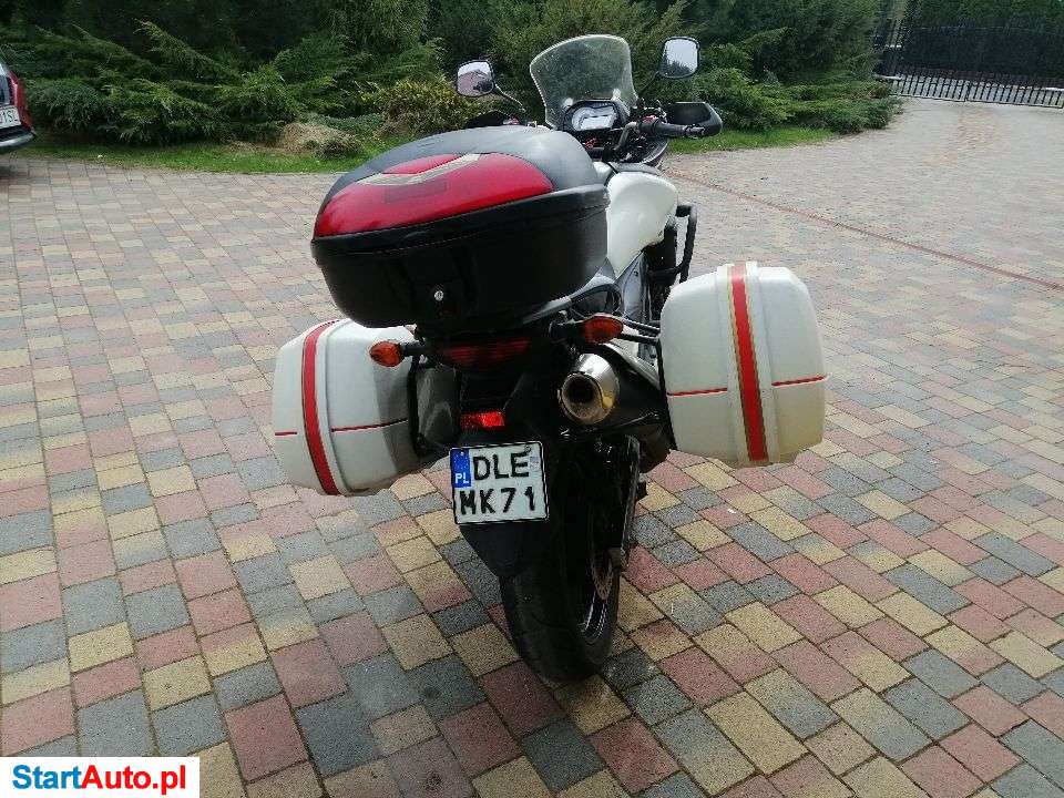 Suzuki DL – Legnica – Dolnośląskie