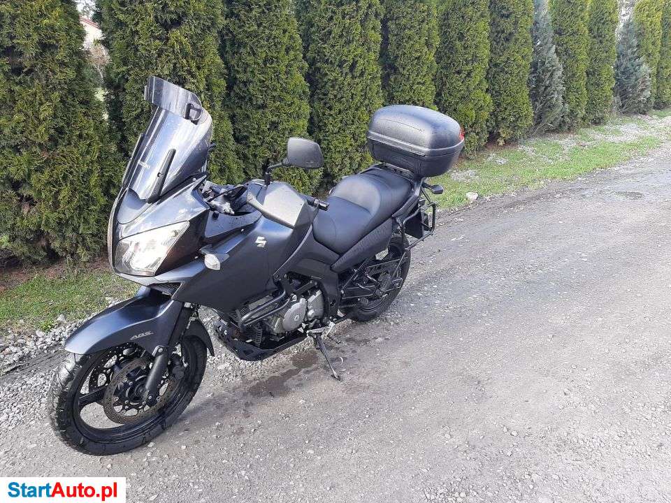 Suzuki DL – Stok – Lubelskie