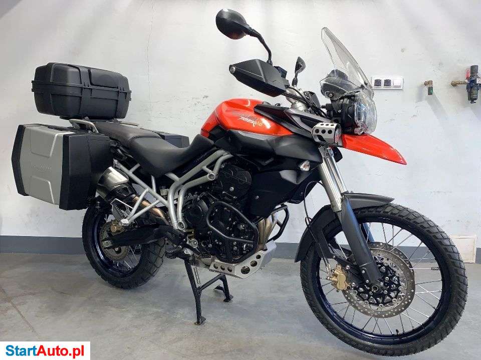 Triumph Tiger – Pszczyna – Śląskie