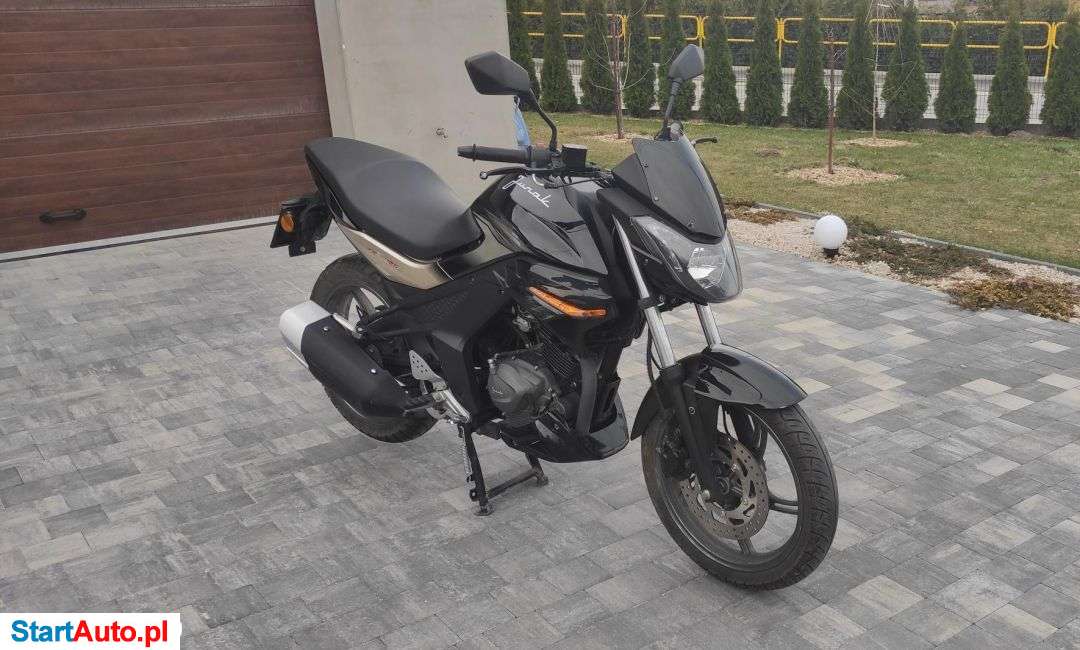 Junak – Chęciny – Świętokrzyskie