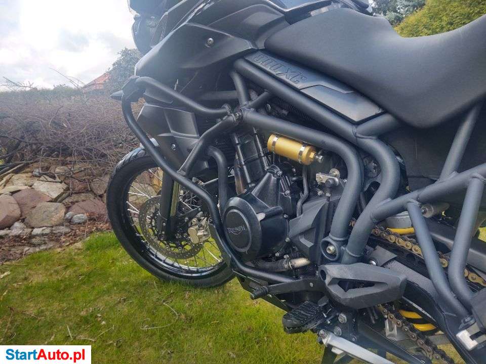 Triumph Tiger – Wrocław – Dolnośląskie