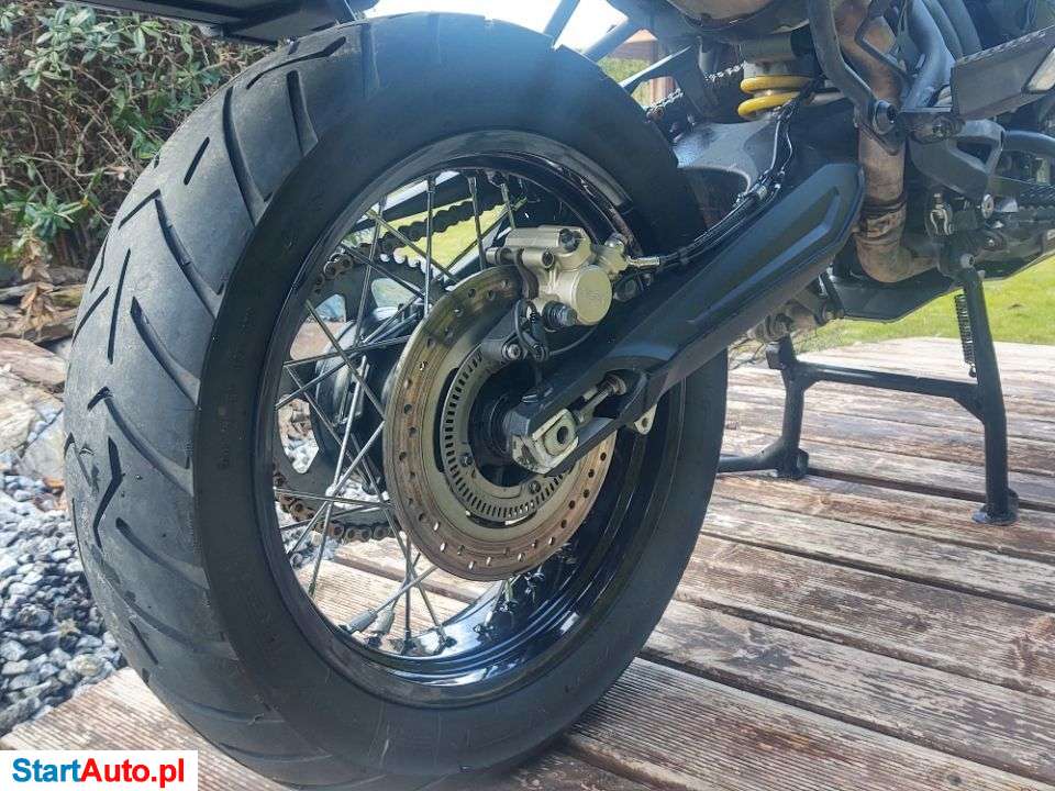 Triumph Tiger – Wrocław – Dolnośląskie