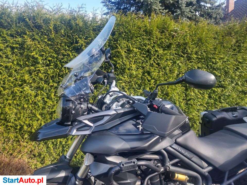 Triumph Tiger – Wrocław – Dolnośląskie