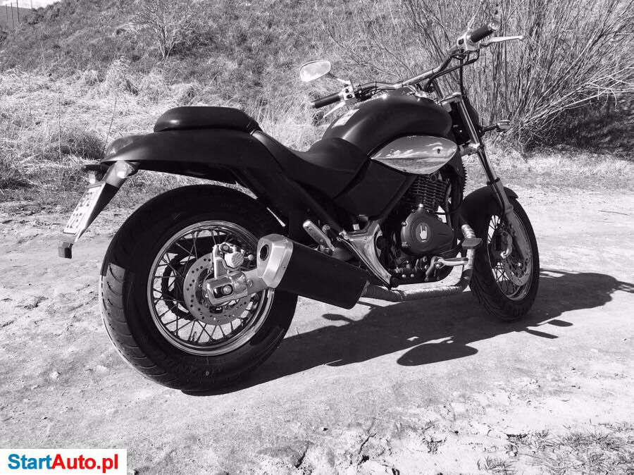 Beta Jonathan – Przecław – Zachodniopomorskie