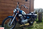 Yamaha Virago – Słubice – Lubuskie